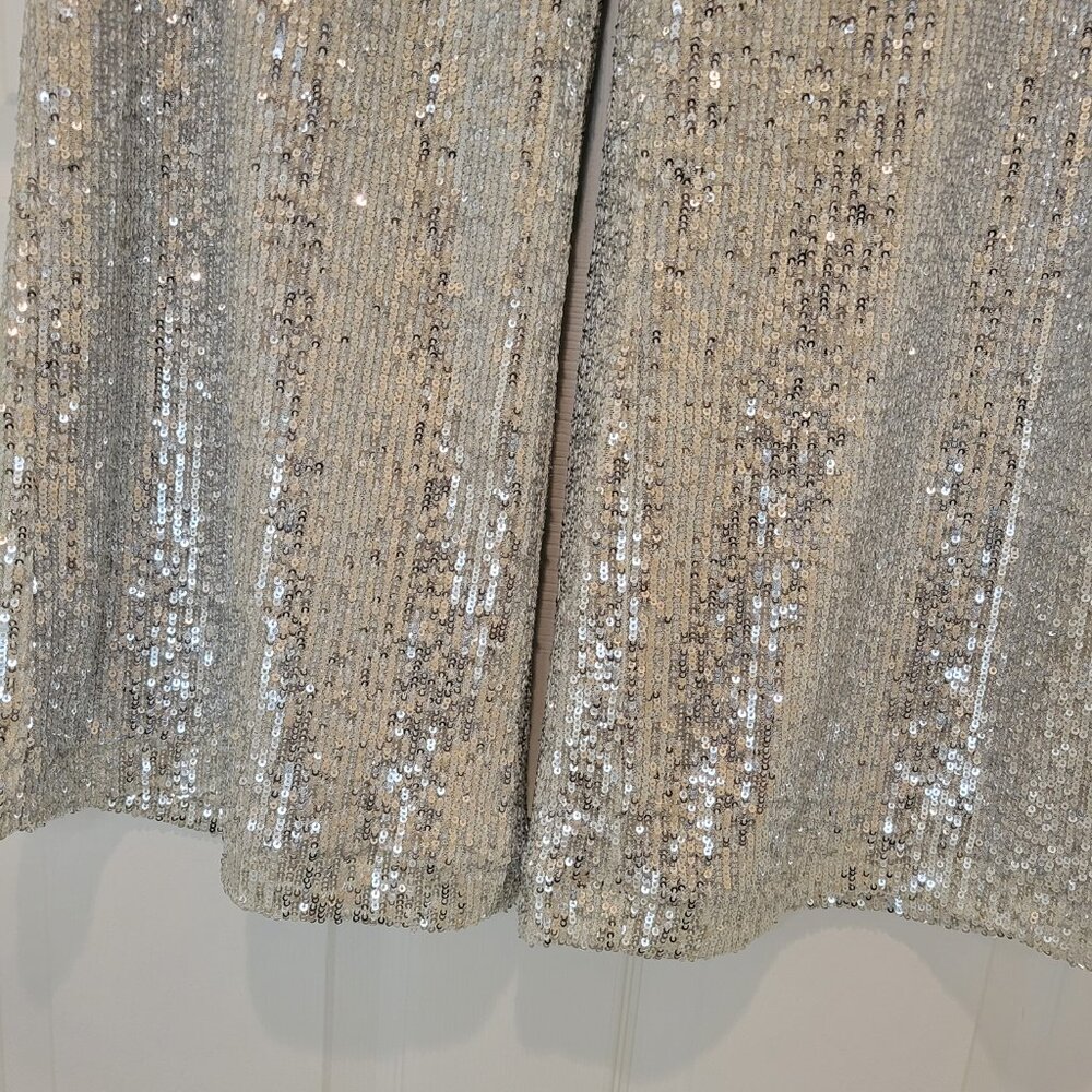 ANN TAYLOR SILVER SEQUIN WIDE LEG PANTS NWT - Picture 5 of 13